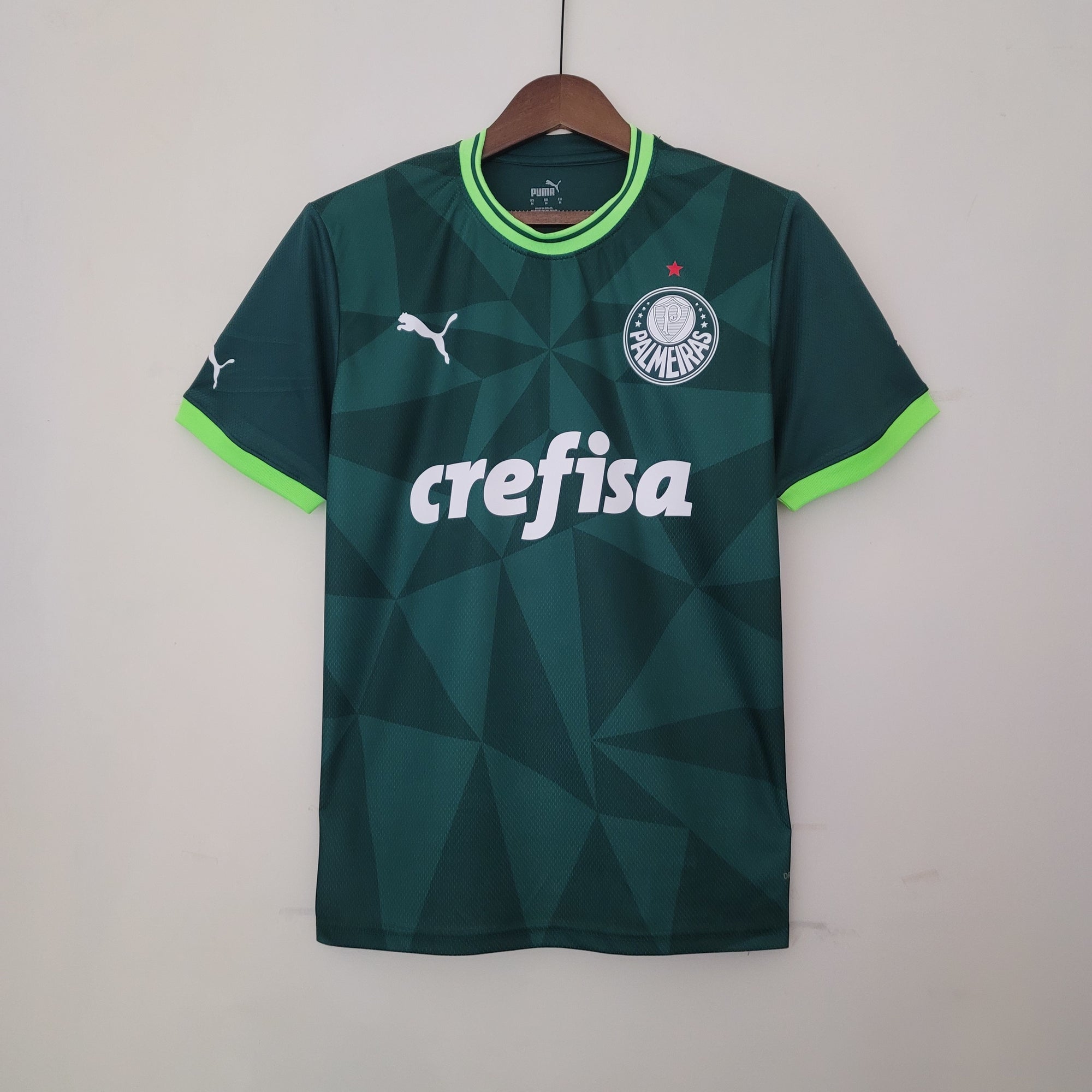 Camisa Palmeiras 2023/24 Home