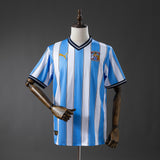 Camisa Coventry City 2011/12 Home Retro